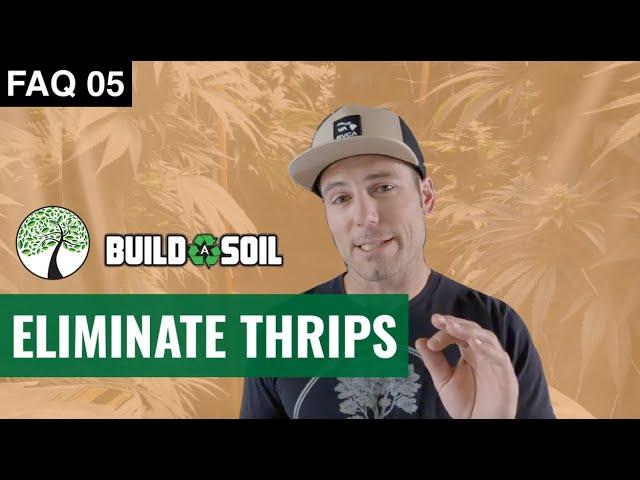 BuildASoil: I HAVE THRIPS WHAT DO I DO? // HOW TO GET RID OF THRIP (Season 6, FAQ 05)