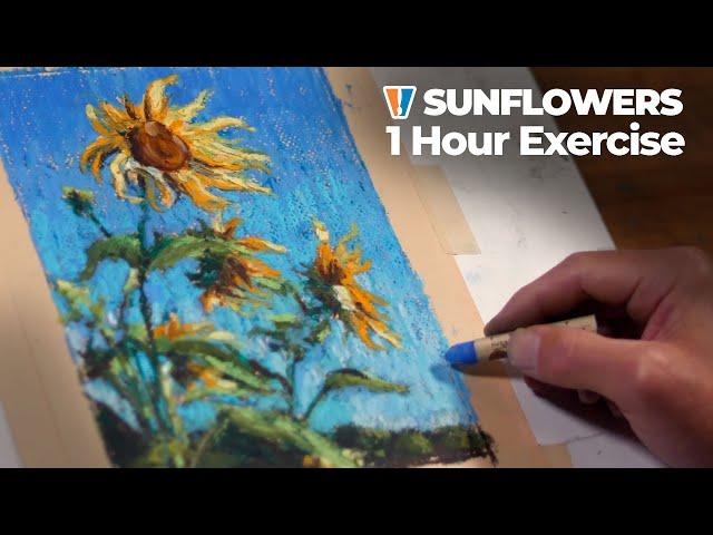 Oil Pastel Drawing - Sunflowers