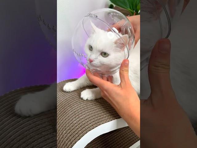 КАК ПОДСТРИЧЬ КОГТИ?