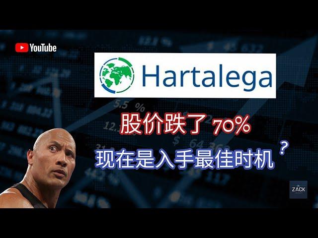 [马股] Hartalega股价跌了70% 现在是入手最佳时机？ | 技术面&基本面分析