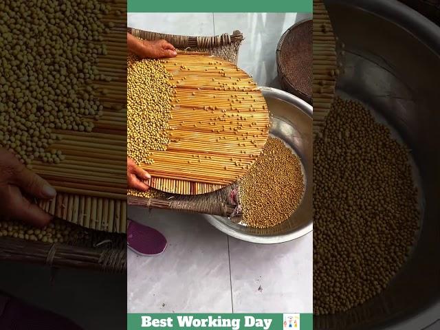 Best working day #1038 Bean sorting process