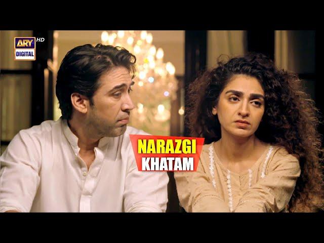 Safeer Aur Sumbul Ki Narazgi Khatam | Best Scene | Noor Jahan