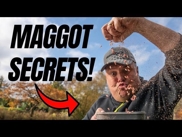 MAGGOTS are the BEST bait for these fish...