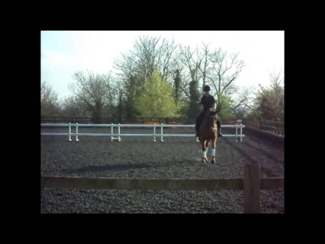 Lucy and Sheldon KMC Training 25.4.14