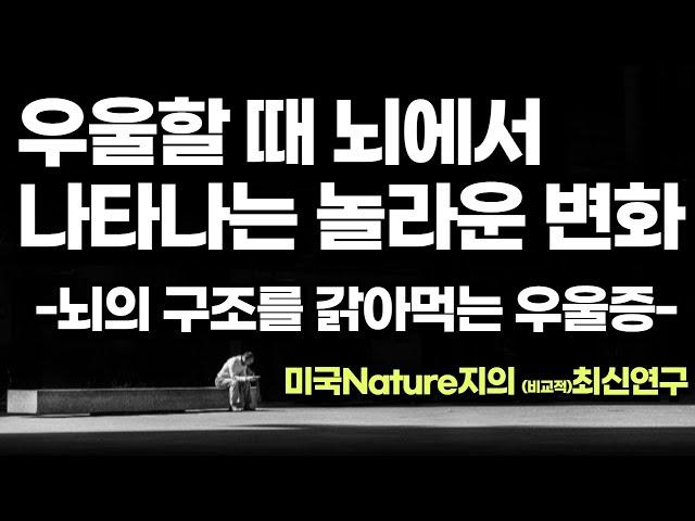 우울할때 나타나는 놀라운 뇌변화-우리의 뇌를 갉아먹는 우울증