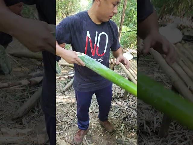 cooking rice in bamboo...with amu