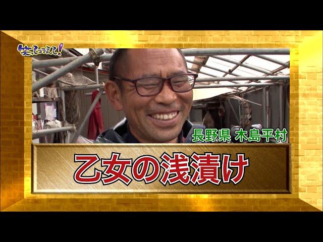 【ダーツの旅笑コラスタッフ厳選】「乙女の浅漬け」東日本編：長野県木島平村」傑作選インタビュー