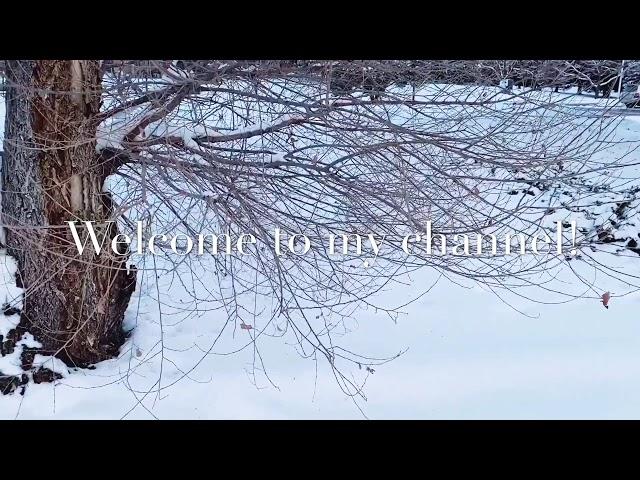 *124 Cuộc Sống Mỹ- Colorado Springs Một Ngày Tuyết Rơi️
