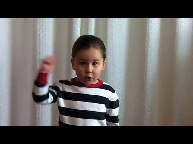 А.С.Пушкин. Сказка о золотом петушке. Камилле 4 года.