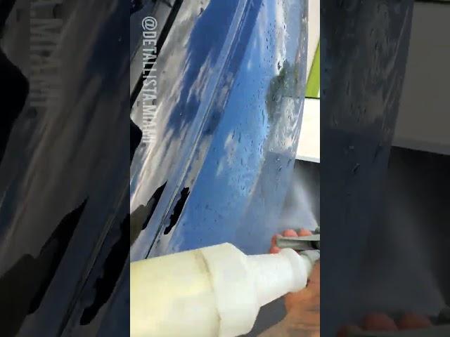 Paint Correction #mobiledetailing  #fulldetails #detailing #autodetailing #cardetailing #carcleaning