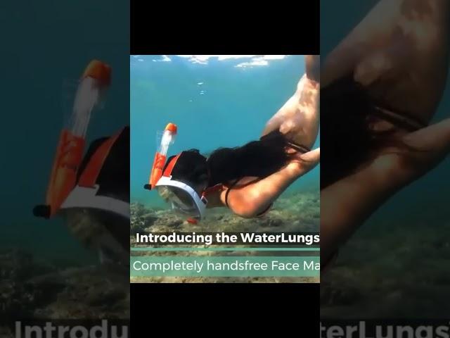 Full Face Snorkel Mask #shorts