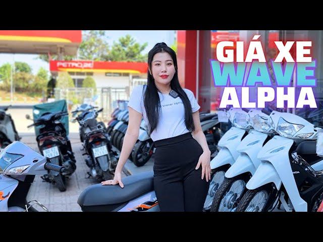 Chỉ cần 500k là có ngay xe Honda Wave Alpha I Thùy Dung Motor