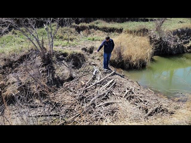 Capitalizing on Riparian Restoration