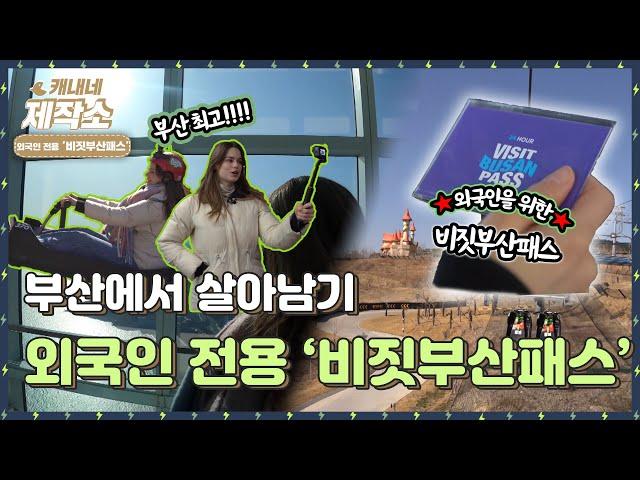 [부산에서 살아남기! 외국인 전용 '비짓부산패스']  I 생방송투데이 [프리]