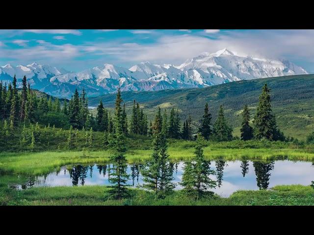 Uyku Getiren Müzikler  Uyku Müzikleri  Meditasyon  Dinlendirici Rahatlatıcı Müzikler  Huzur Veren Mü