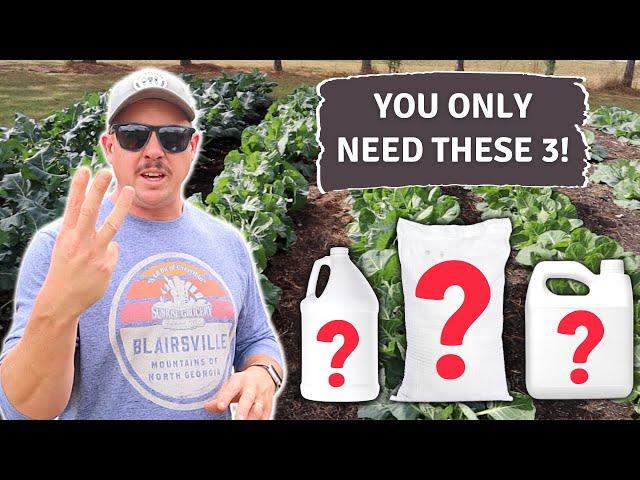 GARDENING SIMPLIFIED: Get Healthy Plants with These 3 Things!