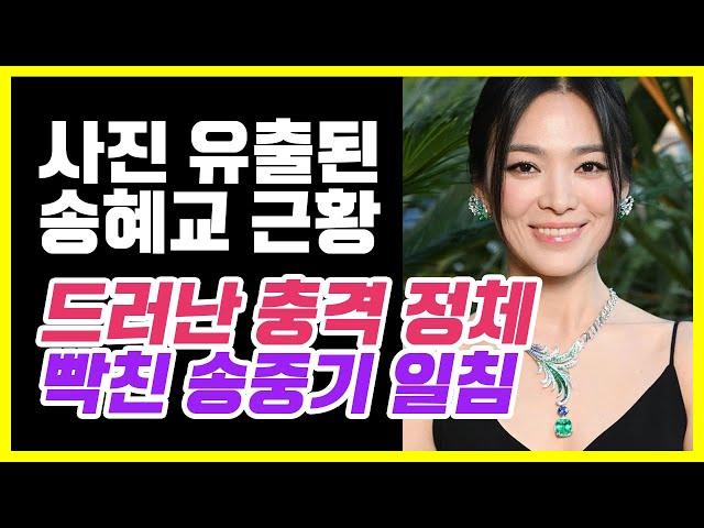 사진 유X되자 난리난 송혜교 근황, 장기용 열애에 송중기 일침