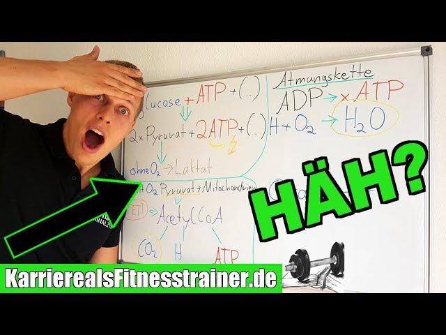 Glykolyse, Zitronensäurezyklus & Atmungskette einfach für Trainer erklärt | (Citratzyklus) B-Lizenz