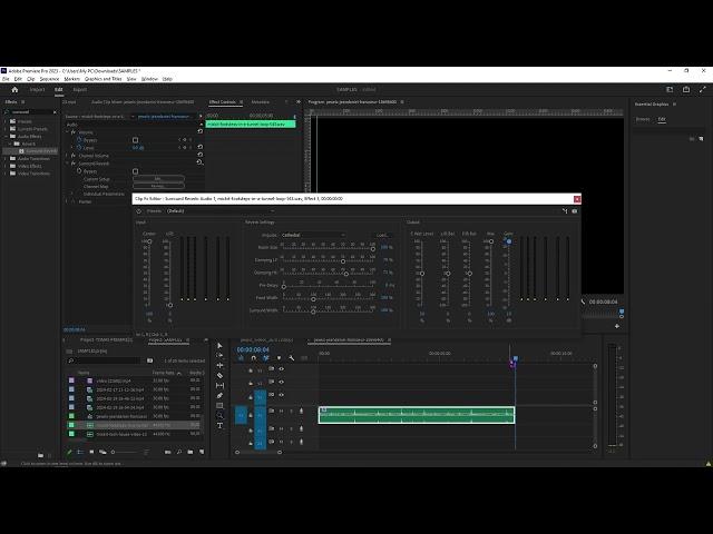 how to add reverb and echo to audio in premierepro