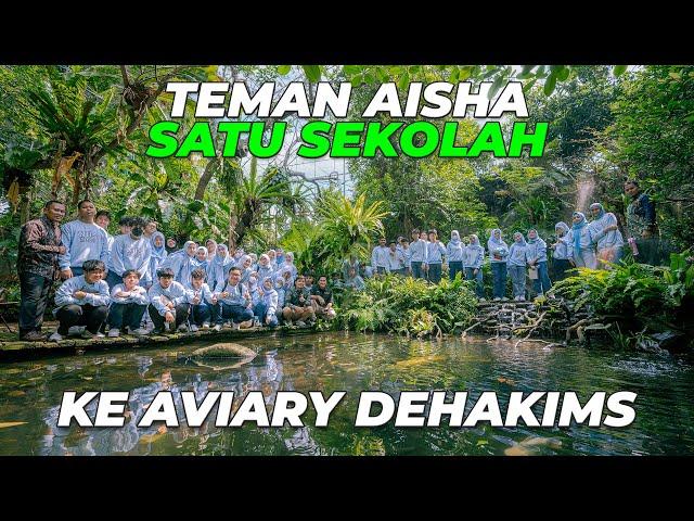 WOW..! AVIARY JADI TEMPAT MPLS AISHA DAN ANGKATANNYA..!