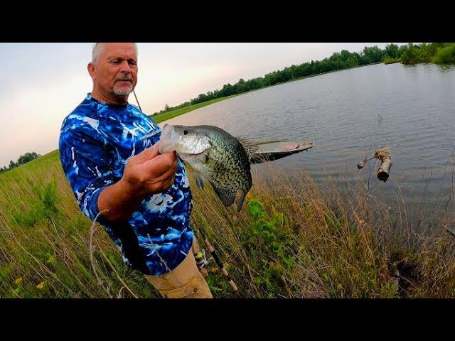 Farm Pond Multi Species Fishing with my Dad