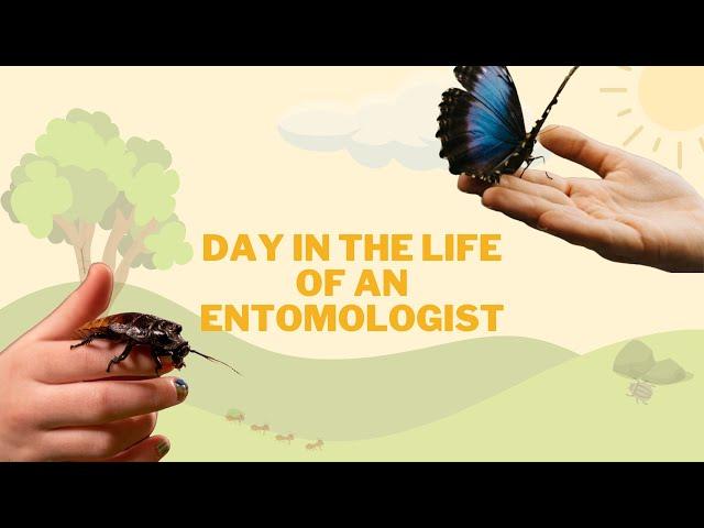 Day in the Life of an Entomologist