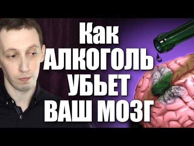 Как алкоголь угробит ваш мозг