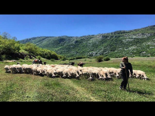Lura, mrekullia që duhet shpëtuar - Fshatrat e Shqipërisë