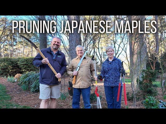 How to Prune Japanese Maples and Why