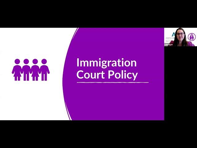 Pro Bono Representation of Youth in Immigration Court: Overview of Agency Policy/Practical Guidance