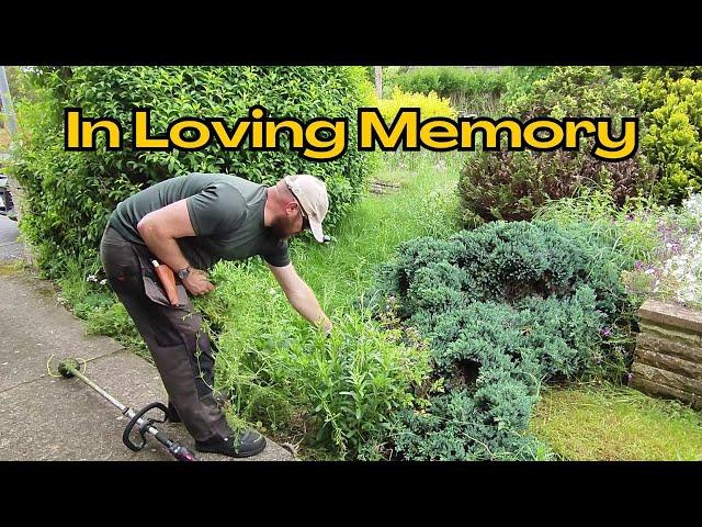 She Created An AMAZING Garden - overgrown yard transformation