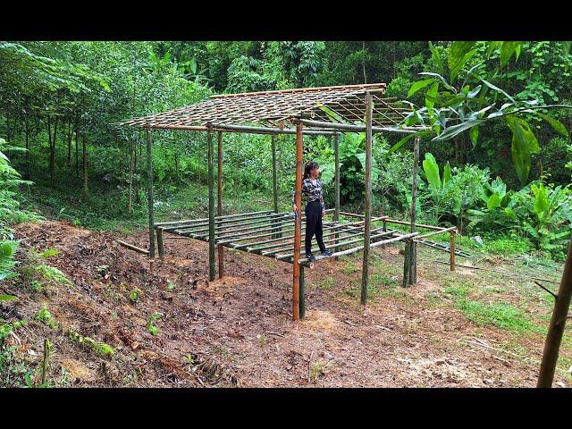1 year of living in the forest, building a bamboo cabin: making beds, pulling electricity,..