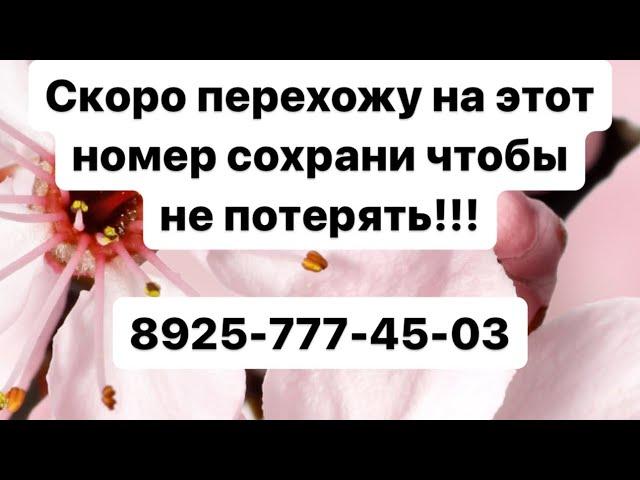 Посвящение для выпускников, которая тронула все сердца 89257774503