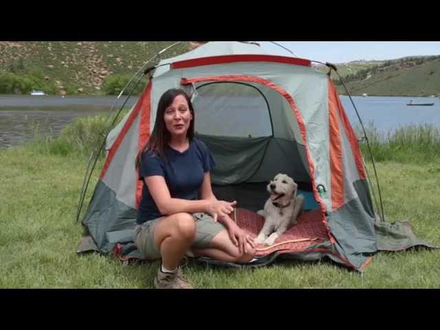 Expert Tips for Camping With Your Dog