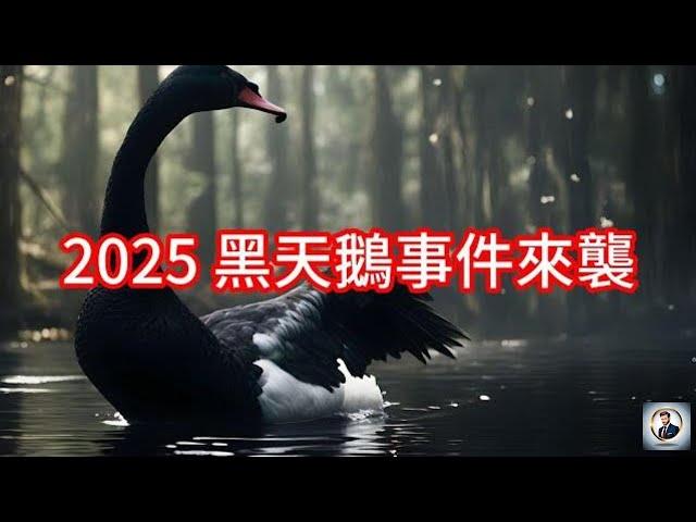 【Boss經濟世界】2025 黑天鵝事件來襲