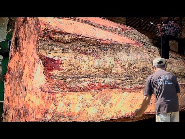 Deadly Wood Slabs At The Sawmill