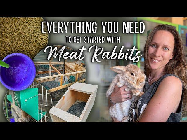 Meat Rabbits - A Beginner's Guide | SETUP & SUPPLIES you need to get started!