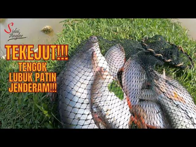 UNEXPECTED! Cari lampam di LUBUK IKAN PATIN JENDERAM.