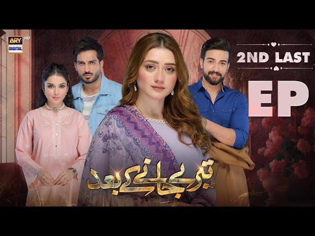 Teray Janay Kay Baad 2nd Last Episode | 25 November 2024 | ARY Digital Drama