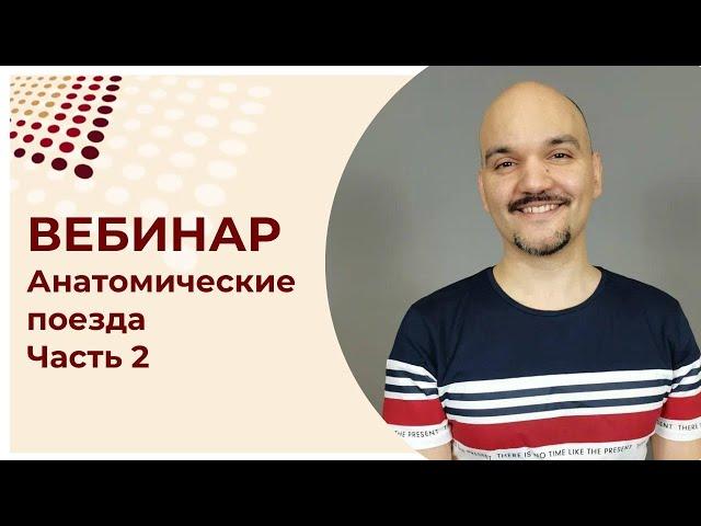 Анатомические поезда. Часть 2