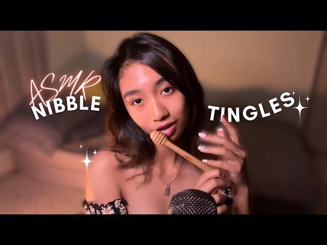 ASMR ~ INTENSE Tingles Coming Your Way | NIBBLE NOMS On Textured Items