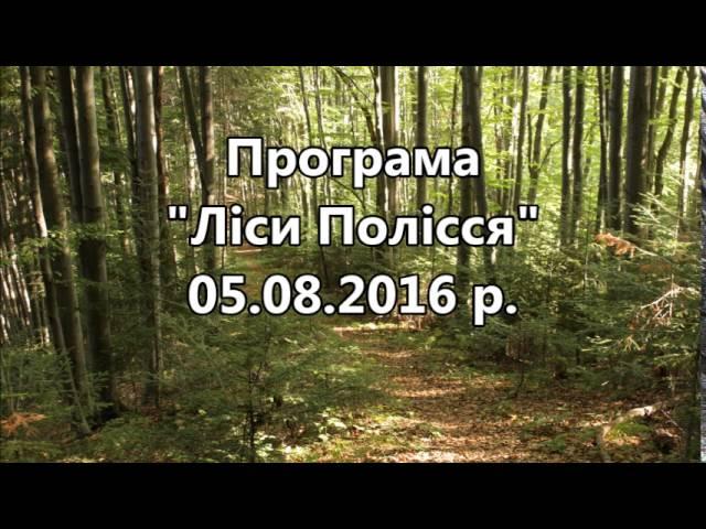 Рівненське обласне управління лісового та мисливського господарства