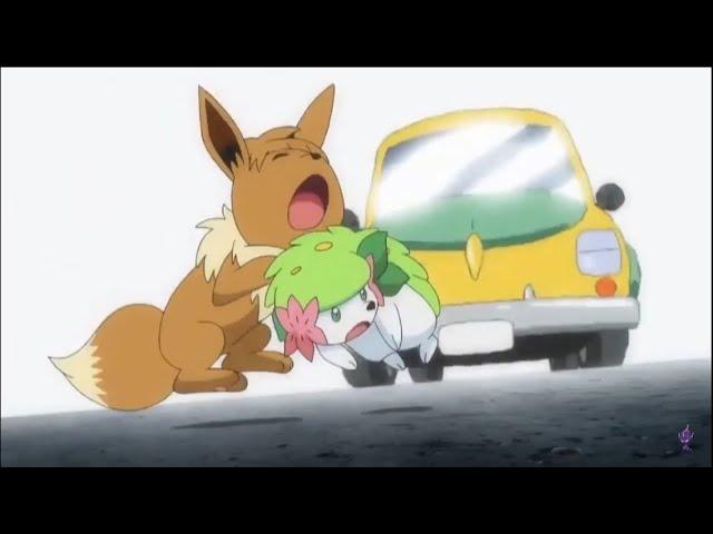 Shaymin Saves Eevee From Being Hit By a Car Pokémon Sun and Moon Episode 117 English Dub Clip