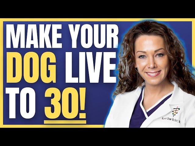 World's #1 Veterinarian: "These are the BEST Foods For Dog Longevity" | Dr Karen Becker