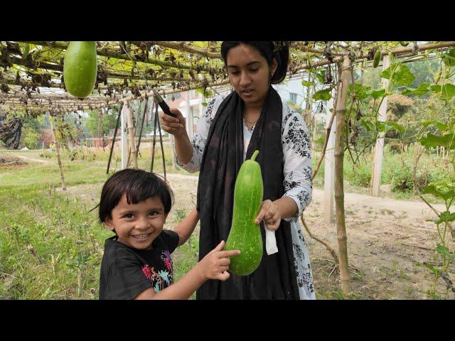 লাউ দেখে আমার শালীর মন খারাপ কেন | Doyel Agro