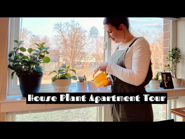 House plant tour