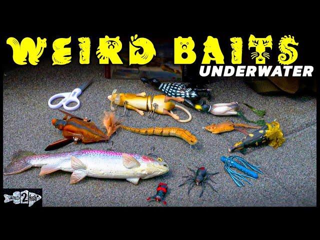 12 WEIRD Fishing Lures and When they Work | Awesome UNDERWATER Footage