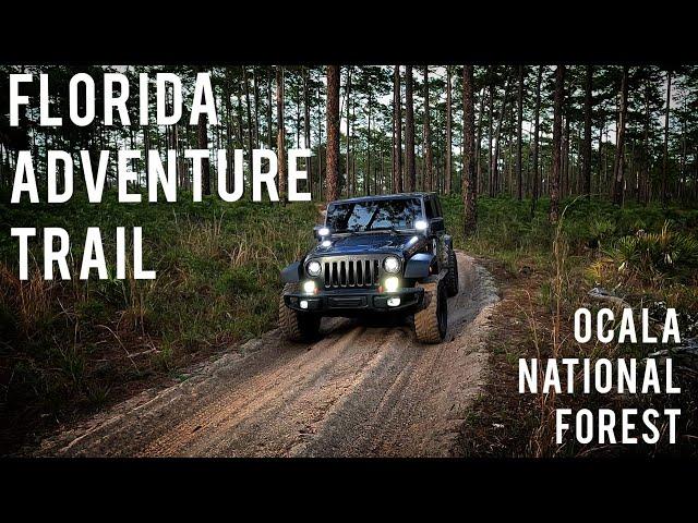 Returning Home to Explore the Florida Adventure Trail | Ocala National Forest Overland by Jeep