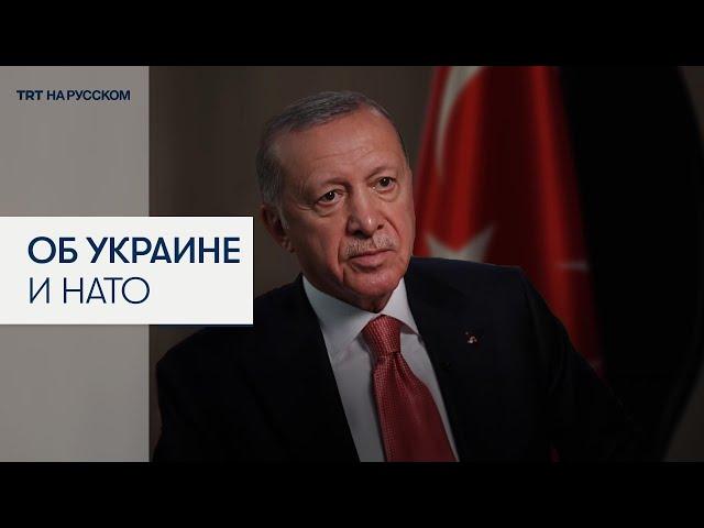 Эрдоган: видеть Украину членом НАТО не хотят США и другие страны