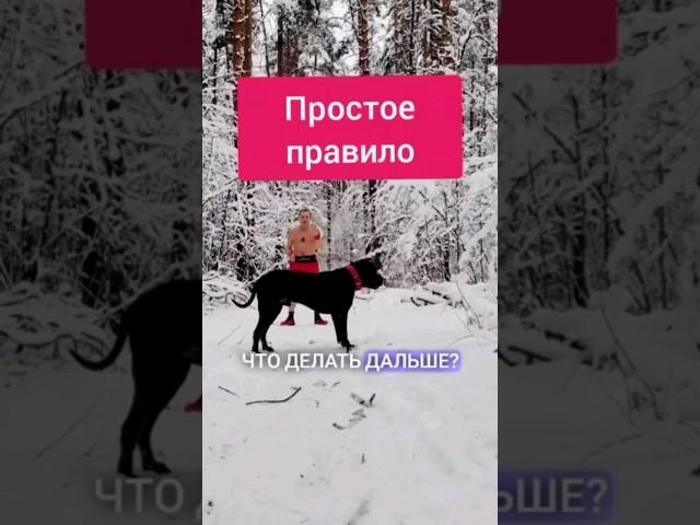 Шок! О сложном просто. #здоровье #моржевание #какначатьбегать #зож #саморазвитие #канекорсо #зима